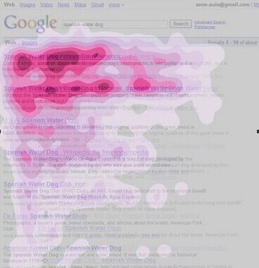 GoogleҕۙY