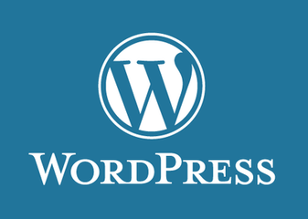 wordpress_܃